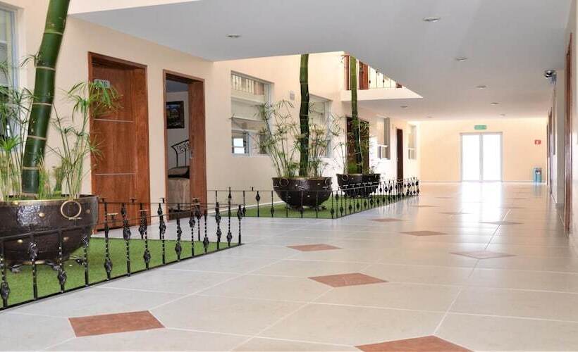 Отель Global Express Pachuca