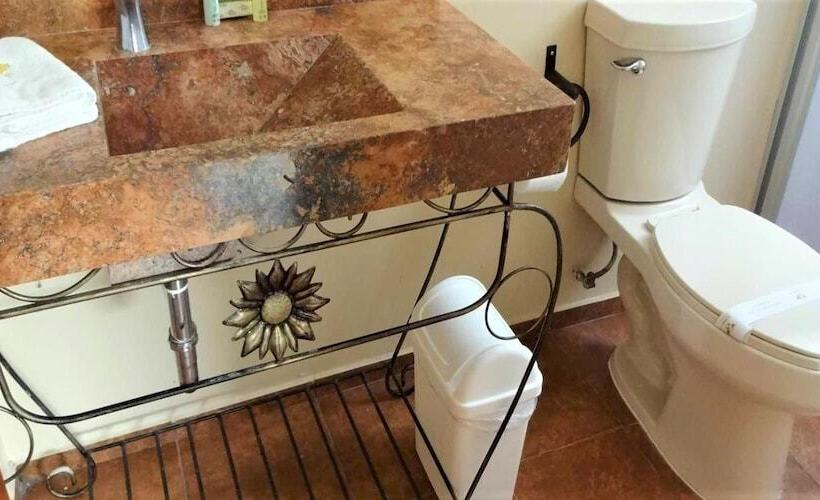 Отель Global Express Pachuca