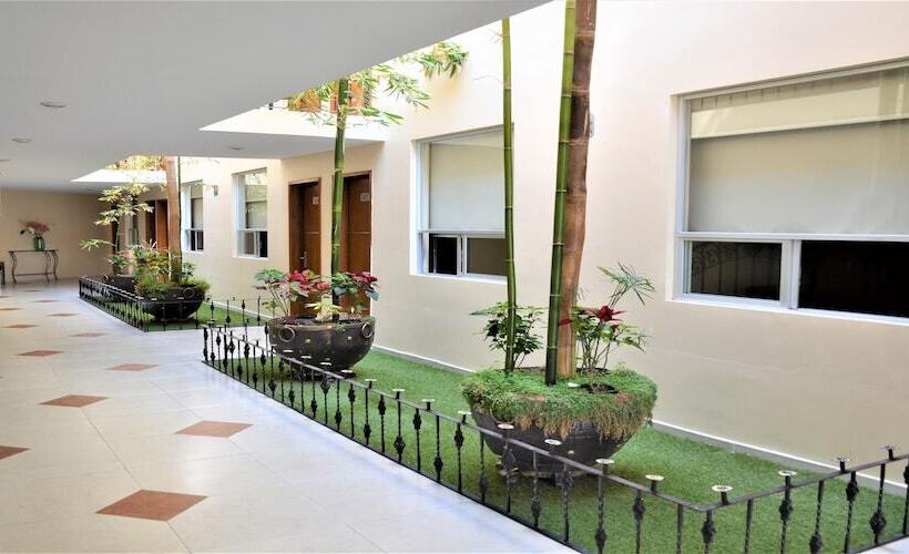 Отель Global Express Pachuca