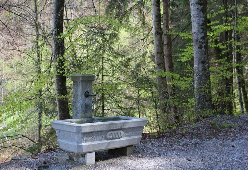 בית מלון כפרי Hôtel Restaurant Du Vanil Noir