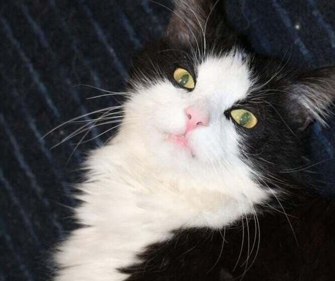 בית מלון כפרי Hôtel Restaurant Du Vanil Noir