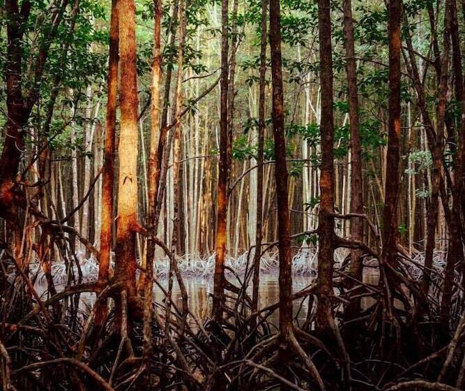 酒店 Thansur Tatai Eco Resort