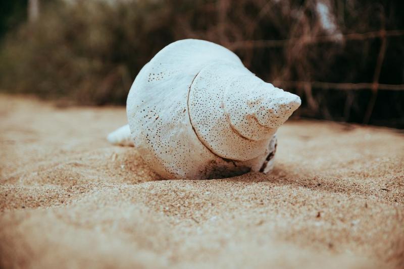 בית מלון כפרי Mackerel Islands