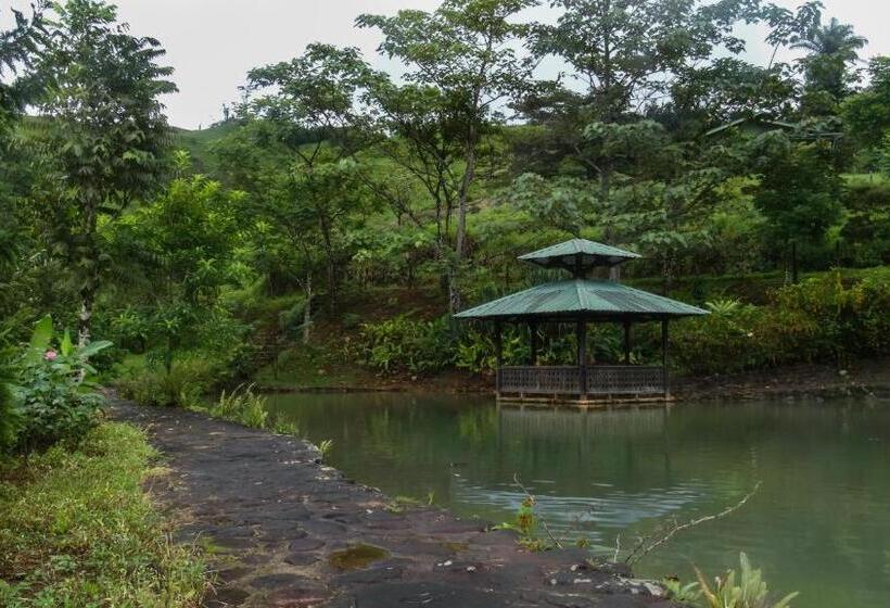 فندق Malekus Mountain Lodge