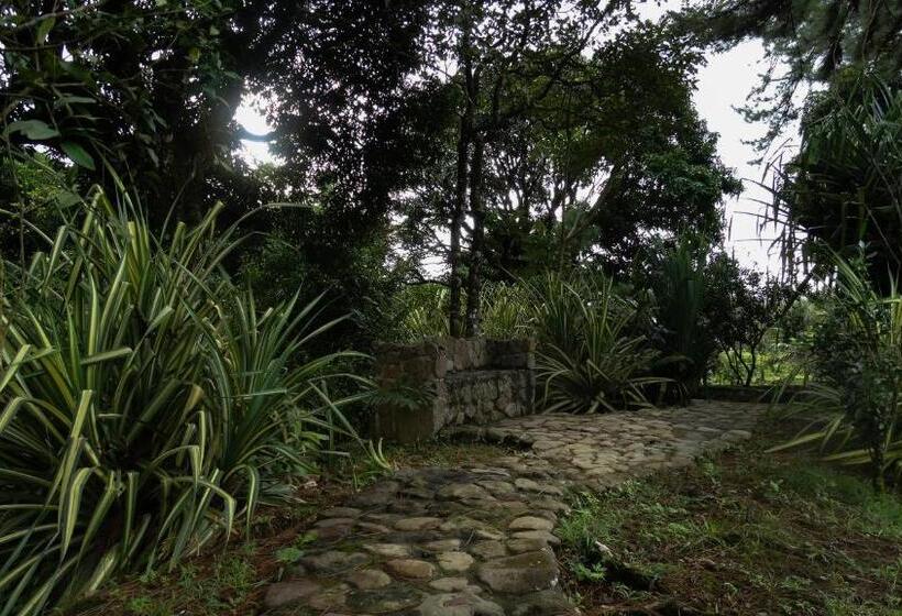 فندق Malekus Mountain Lodge