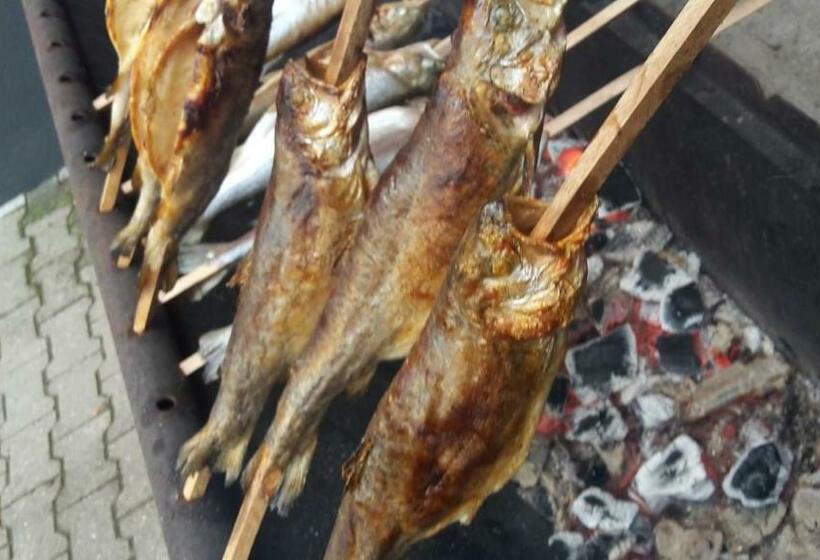 酒店 Pension Kirchenwirt