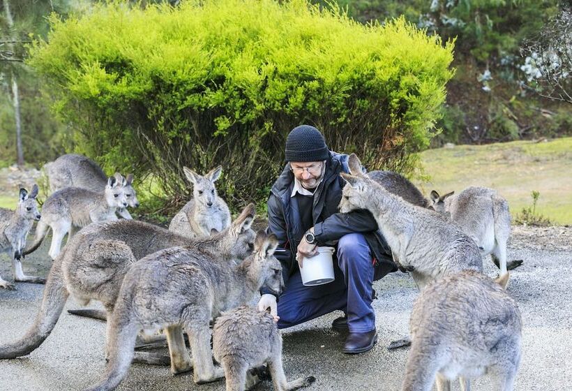 בית מלון כפרי Reflections Burrinjuck Waters   Holiday Park