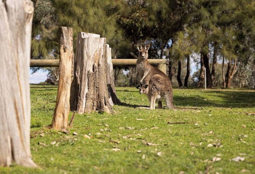 فندق Reflections Grabine Lakeside   Holiday Park