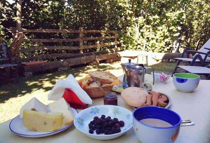 בית מלון כפרי Agriturismo Fontanapietra