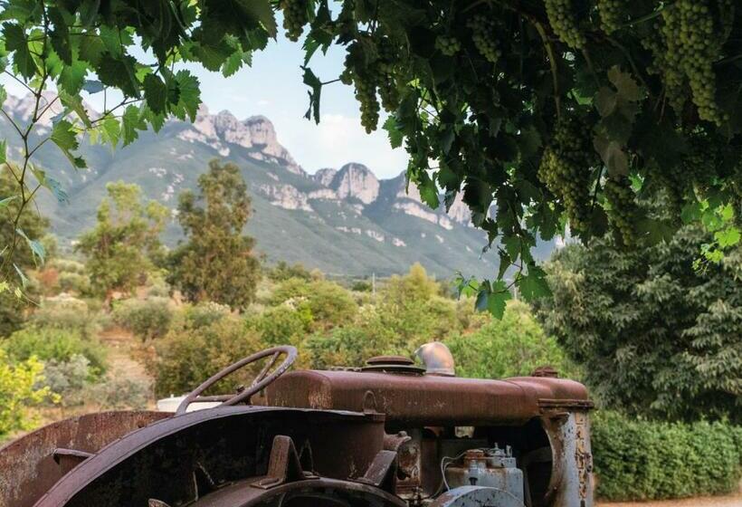 فندق ريفى Il Sorgituro   Agriturismo