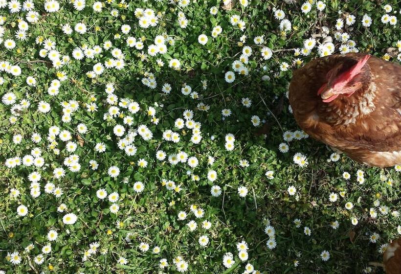 فندق ريفى Agriturismo Villa Fiore