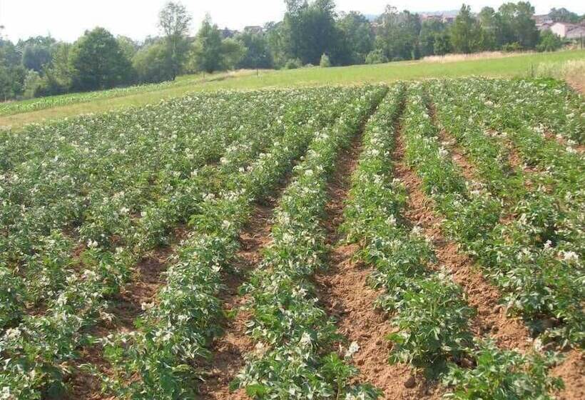 فندق ريفى Azienda Agrituristica La Canestra