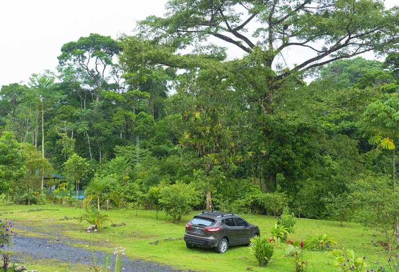 فندق ريفى Oski Lodge