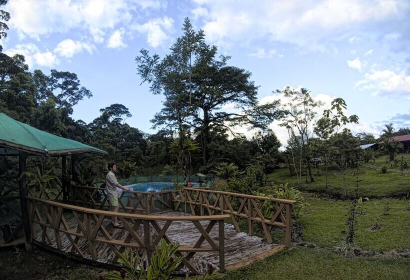 فندق ريفى Oski Lodge