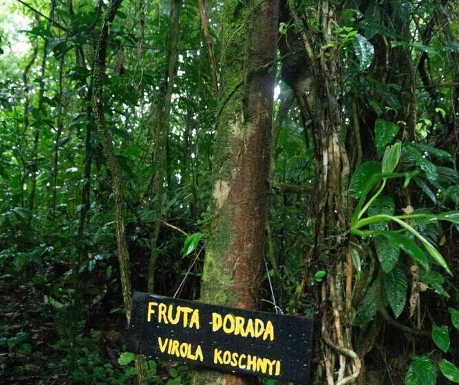 فندق ريفى Oski Lodge