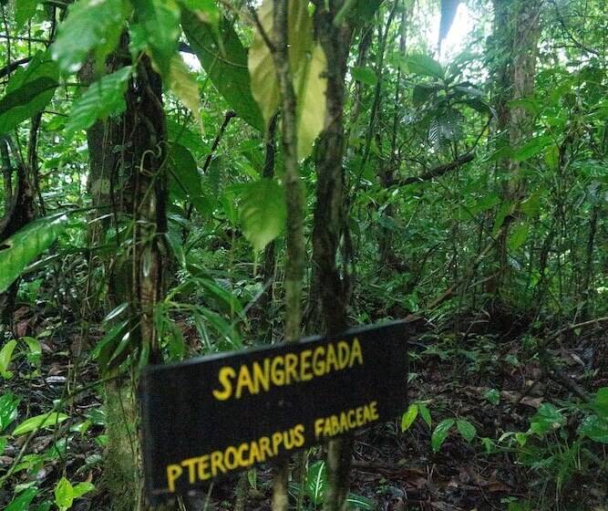 فندق ريفى Oski Lodge