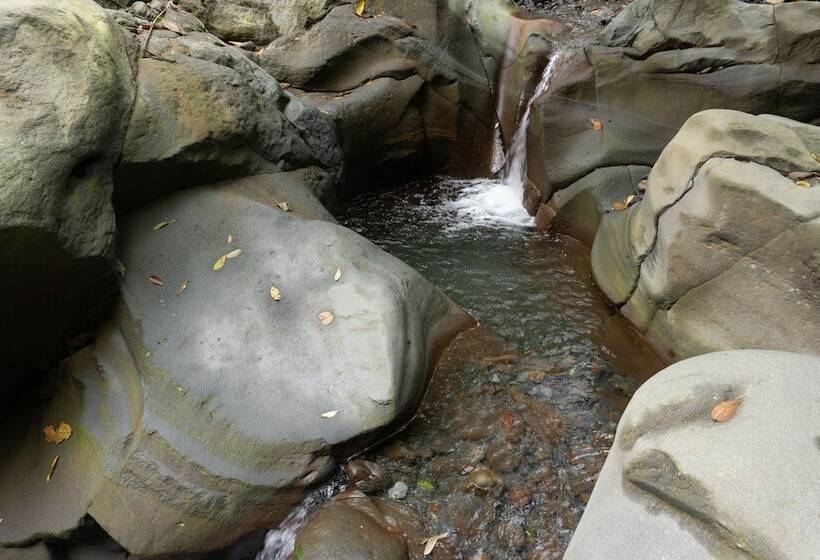 فندق ريفى Oski Lodge