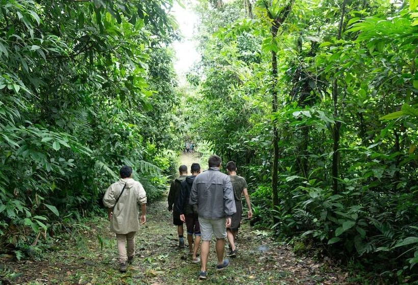 فندق ريفى Oski Lodge