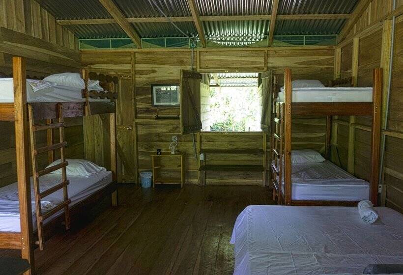 فندق ريفى Oski Lodge