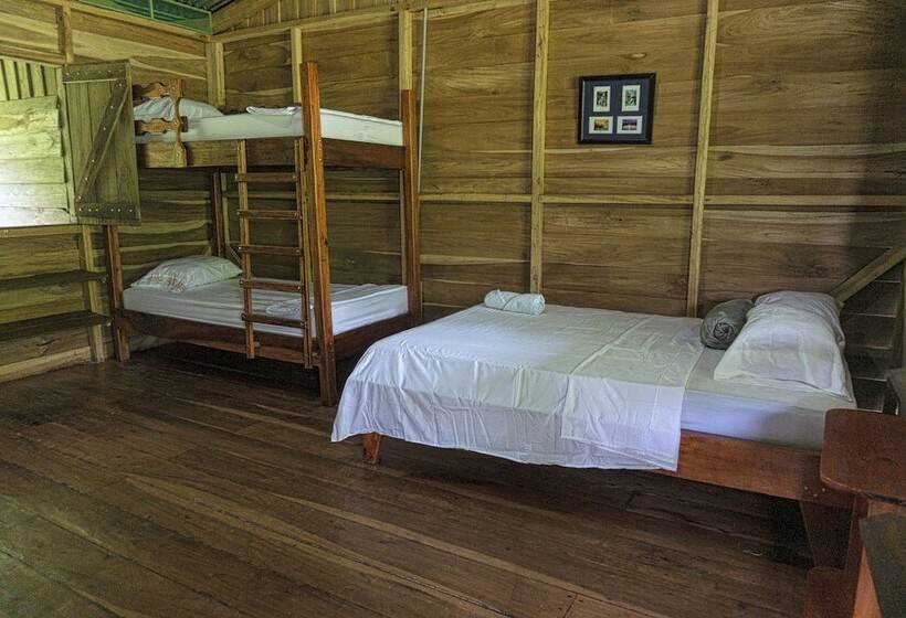 فندق ريفى Oski Lodge