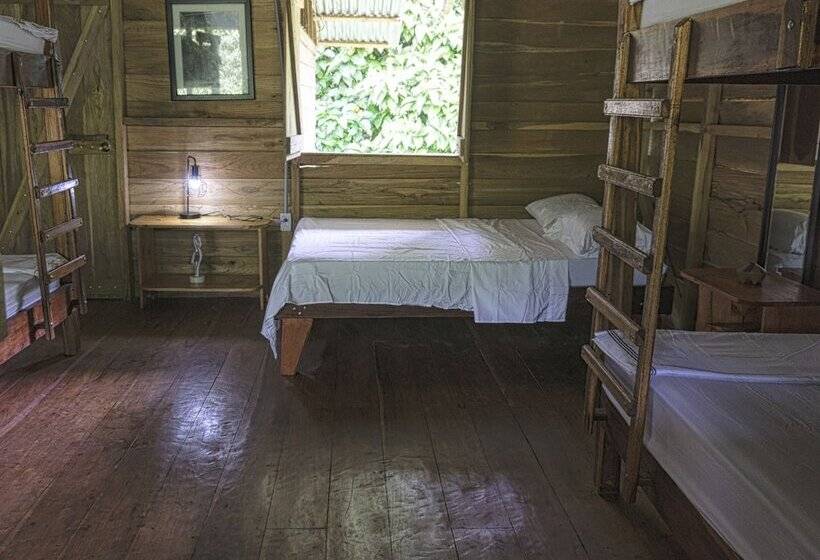 فندق ريفى Oski Lodge