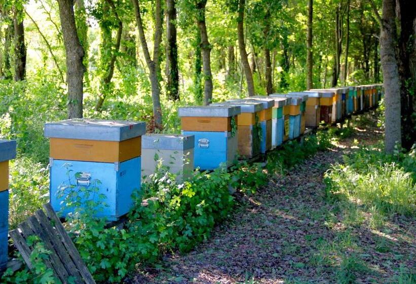 בית מלון כפרי Palazzo Minelli