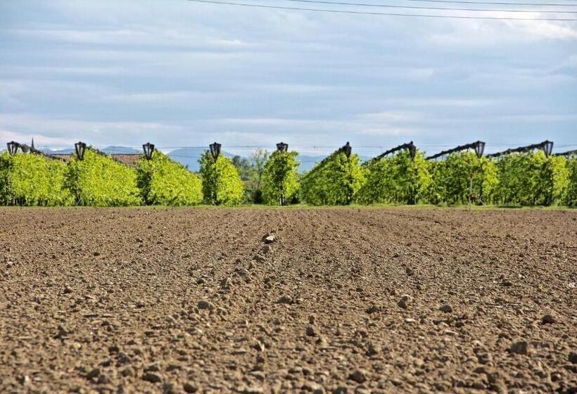 בית מלון כפרי Palazzo Minelli