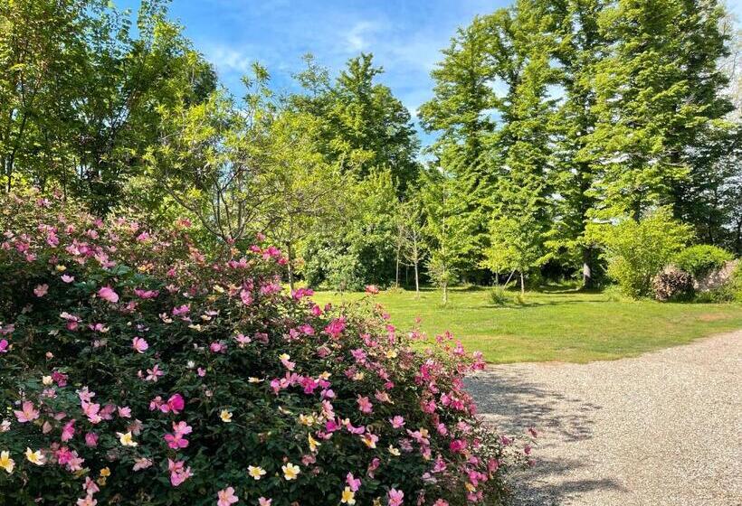 בית מלון כפרי Palazzo Minelli