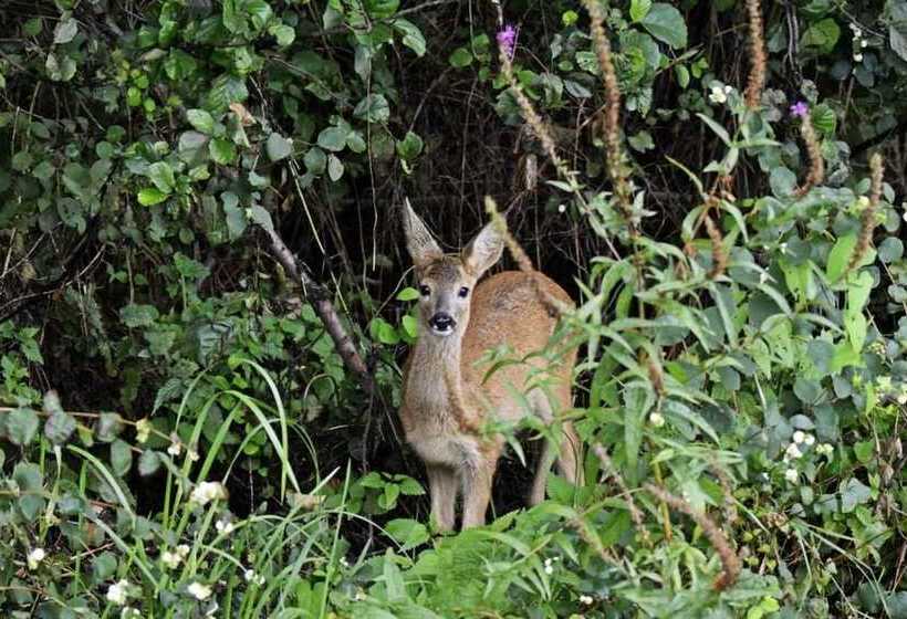 בית מלון כפרי Schrebenza Apartments & Natur