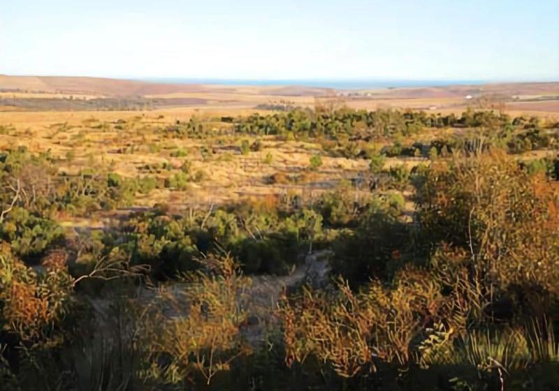 בית מלון כפרי Tanonga Luxury Eco Lodges