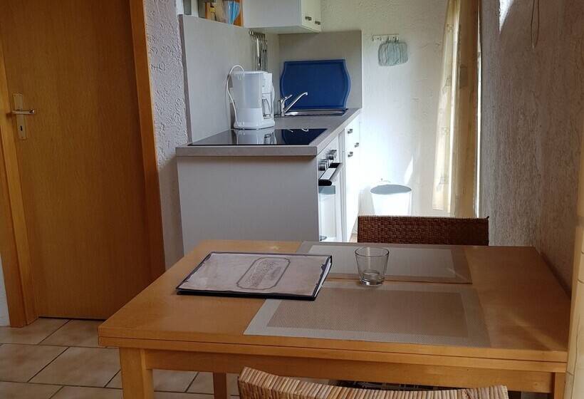 Idyllic Studio Near Forest