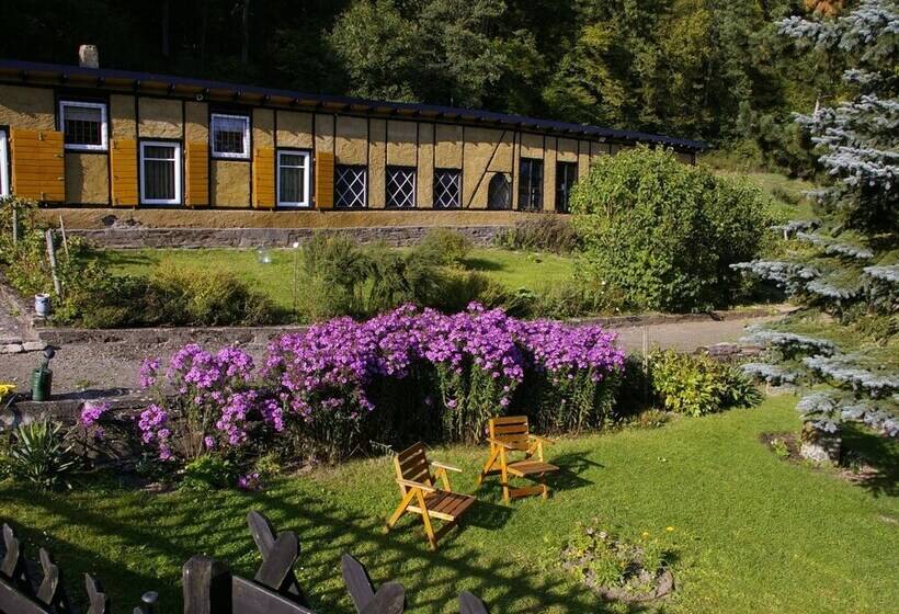 Idyllic Studio Near Forest