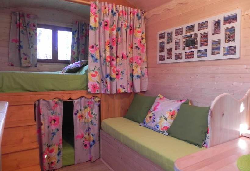 Le Mas Des Genets D'or