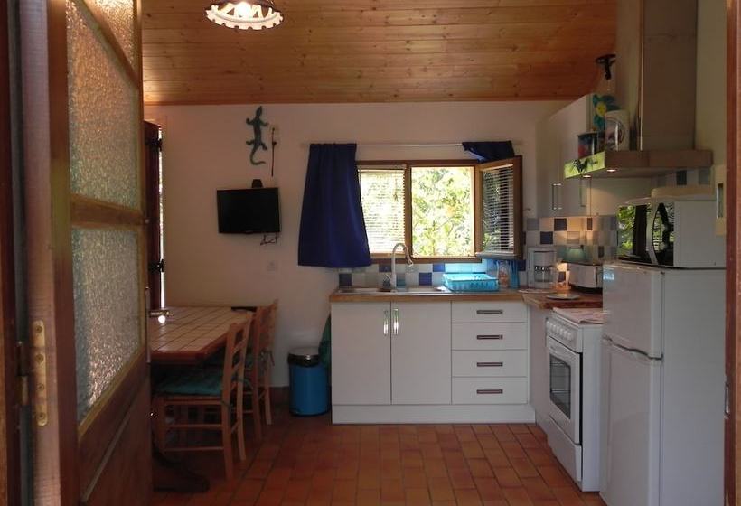 Le Mas Des Genets D'or