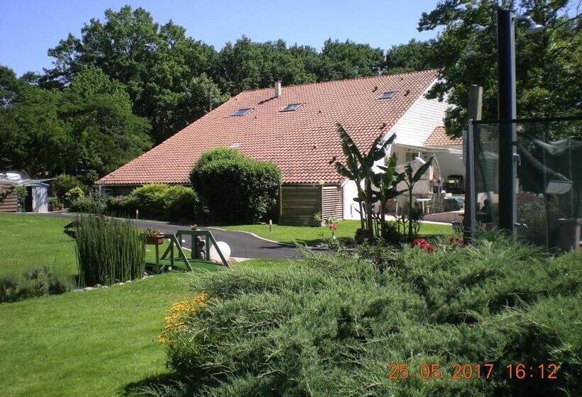 膳宿费 Au Petit Pédegouaty