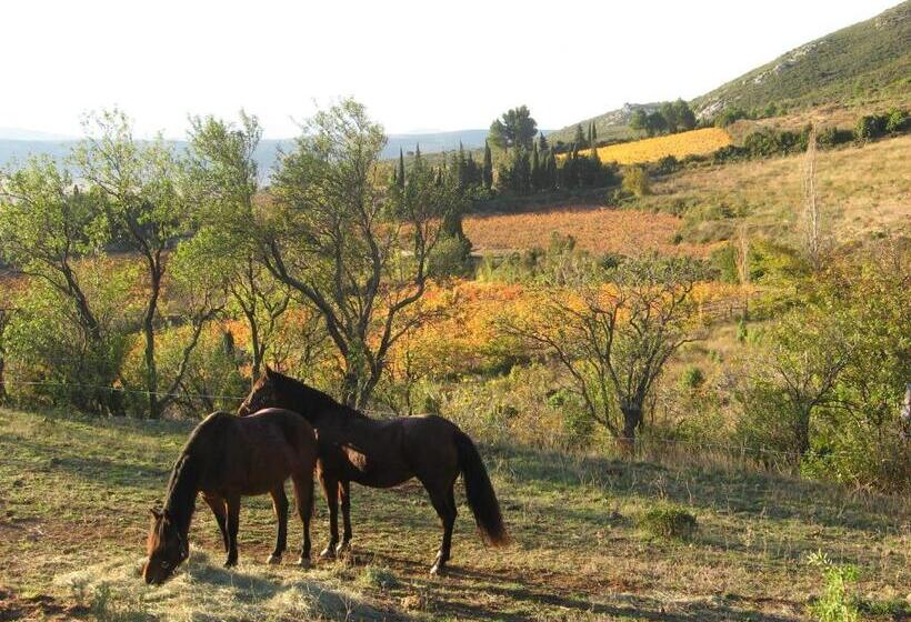 بنسيون Chambres D Hôtes Gîte Saint Roch