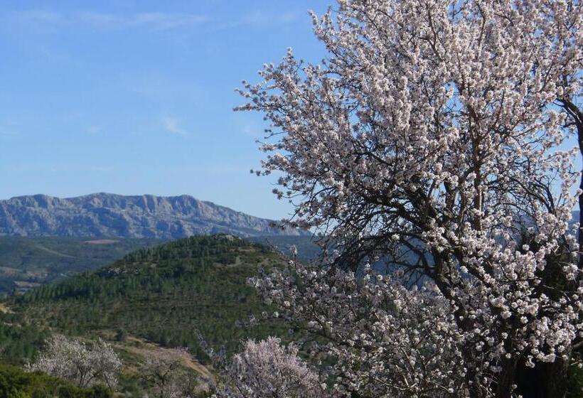 بنسيون Chambres D Hôtes Gîte Saint Roch