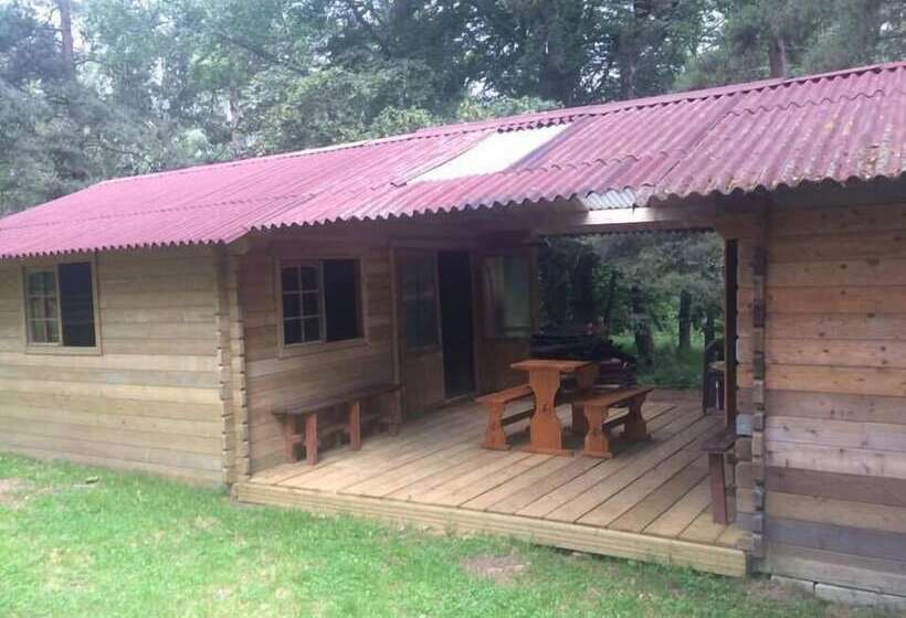 ペンション Chambres D Hôtes Le Relais De Palheres