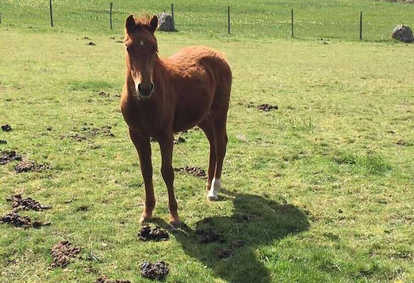ペンション Chambres D Hôtes Le Relais De Palheres
