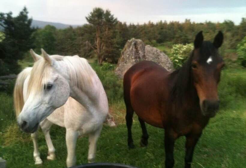 ペンション Chambres D Hôtes Le Relais De Palheres
