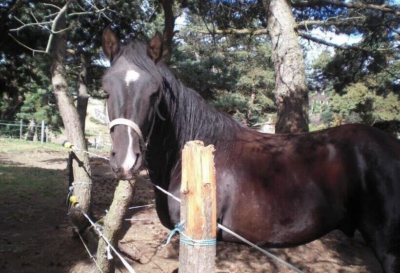 ペンション Chambres D Hôtes Le Relais De Palheres