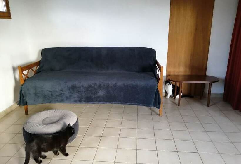 פנסיון L Imparfaite