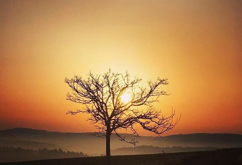 פנסיון La Framboisine