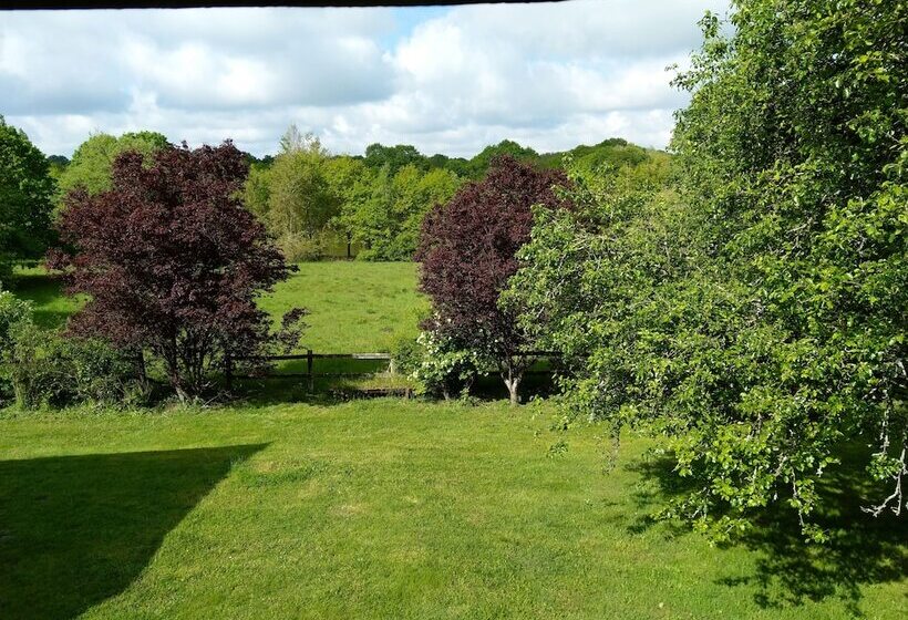 بنسيون La Jonquière