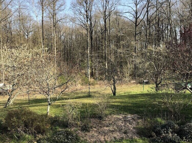 بنسيون La Jonquière