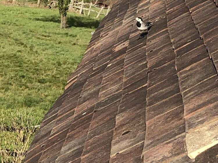 بنسيون La Jonquière