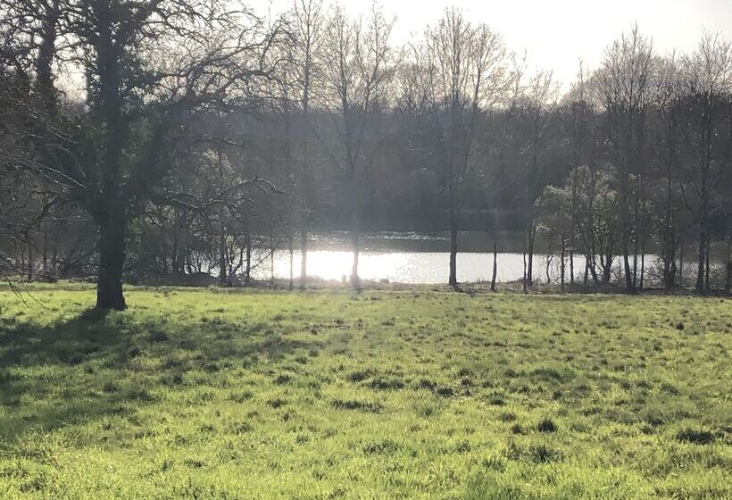 بنسيون La Jonquière