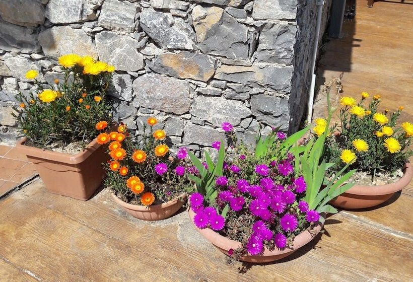 بنسيون La Sorgente