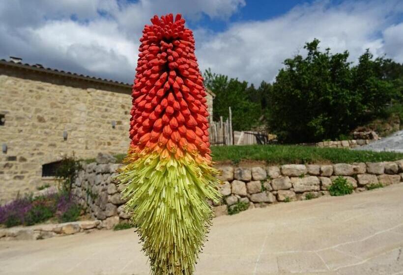 膳宿费 Le Pressoir De La Deveze