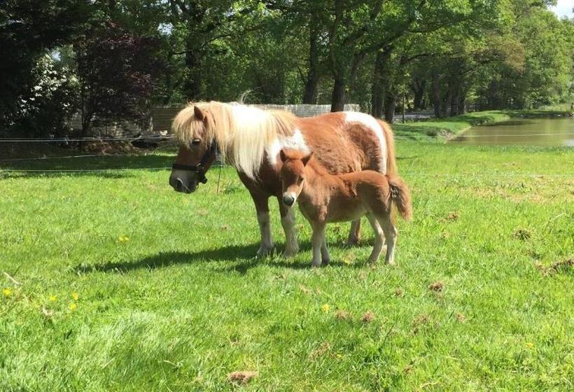 Пансион Logis De La Clartière